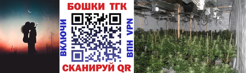 Бошки Шишки ГИДРОПОН  блэк спрут   Томари 